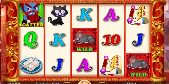 A Gambler’s Guide to White Nose Cat Slot Game